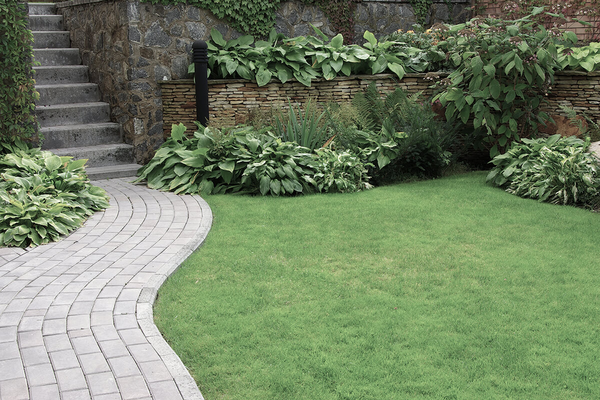 Welcome to Marshall’s Landscaping